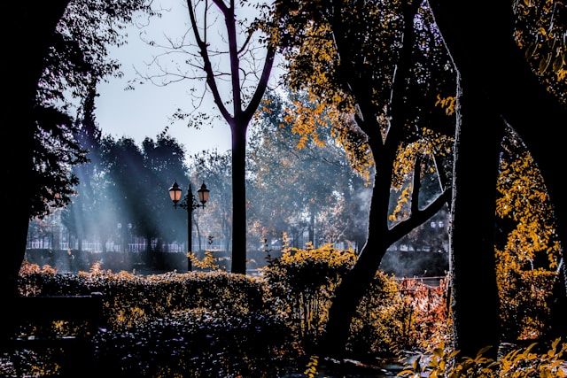 Poruka pape Franje za VI. svjetski dan molitve za skrb o stvorenom svijetu, 1. rujna 2020.